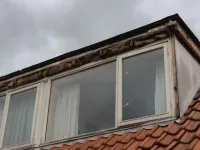 Dakwerk