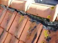Reparatie Nok